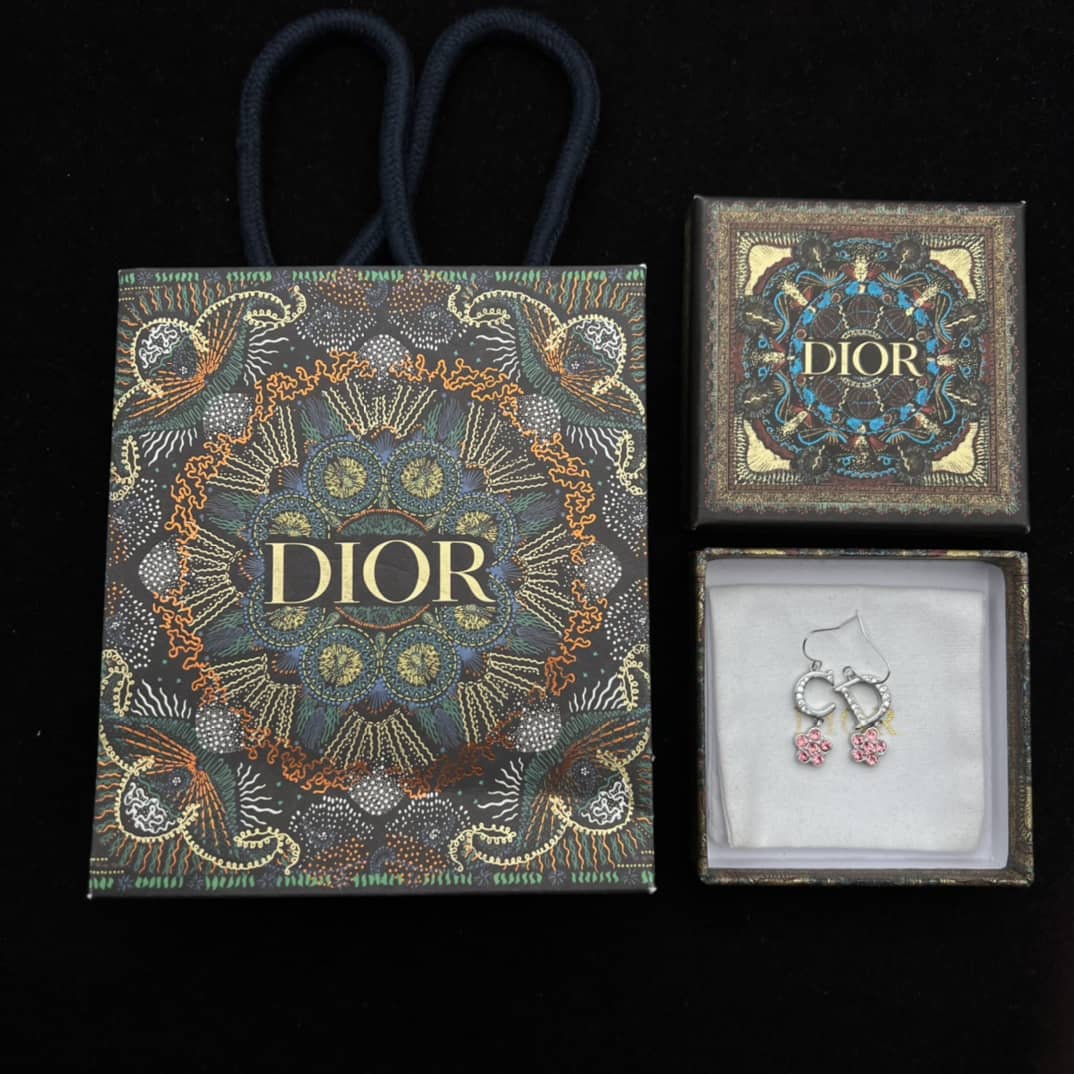 Fake Chr1st1an D10r Logo Earring