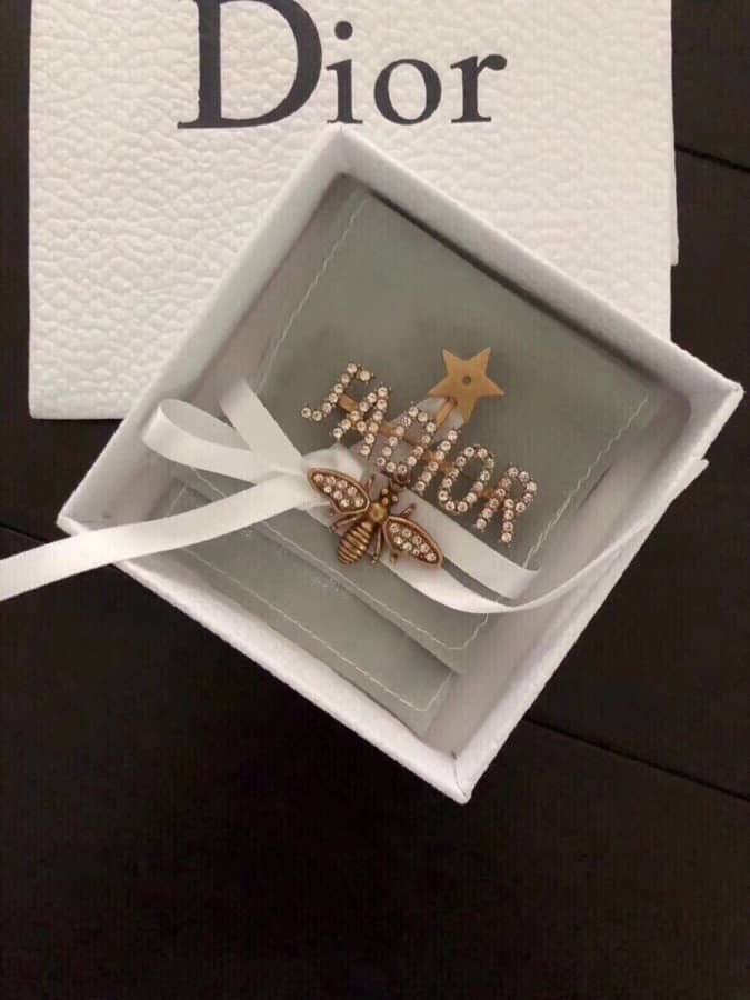 Fake Chr1st1an D10r Logo Brooch