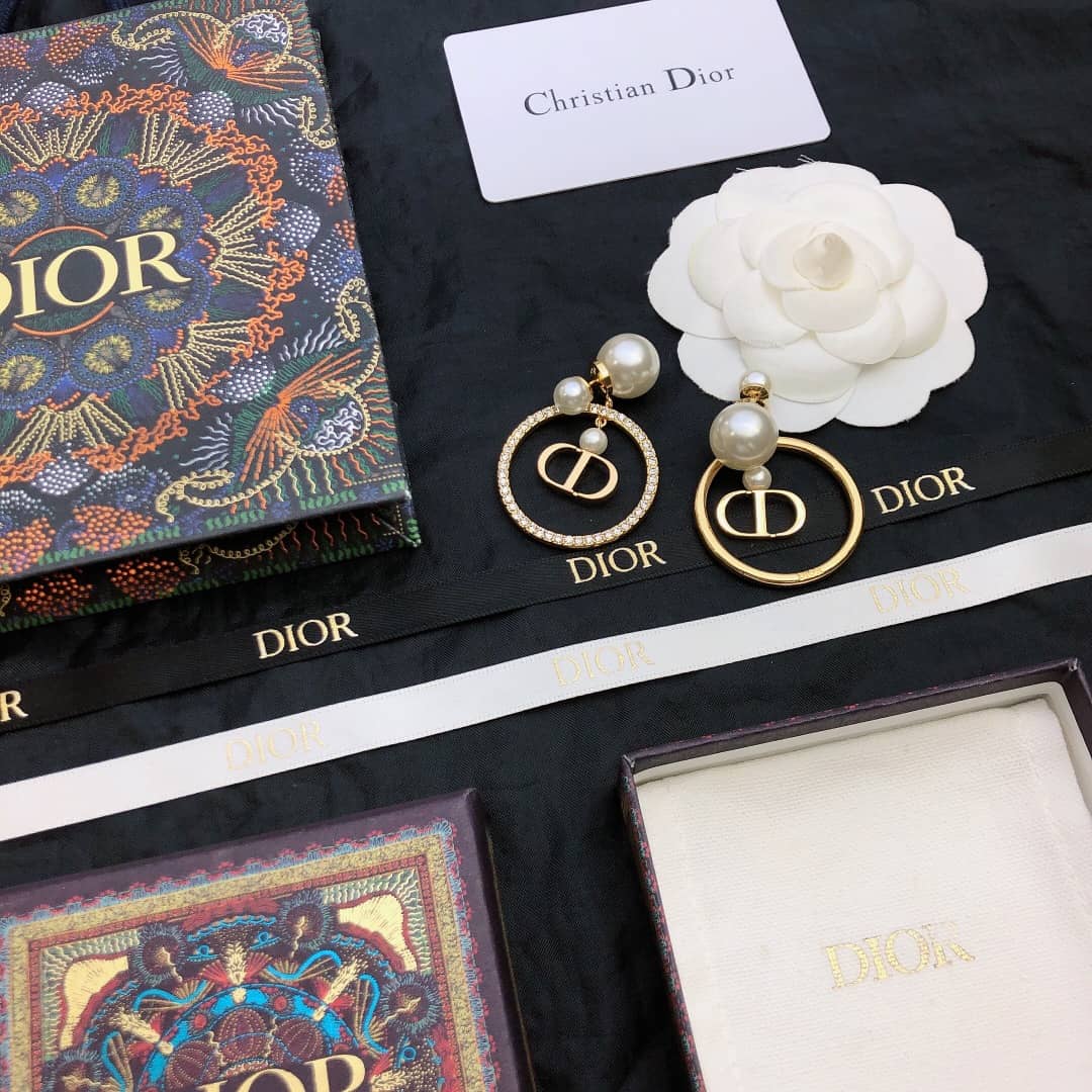 Fake Chr1st1an D10r Logo Earring