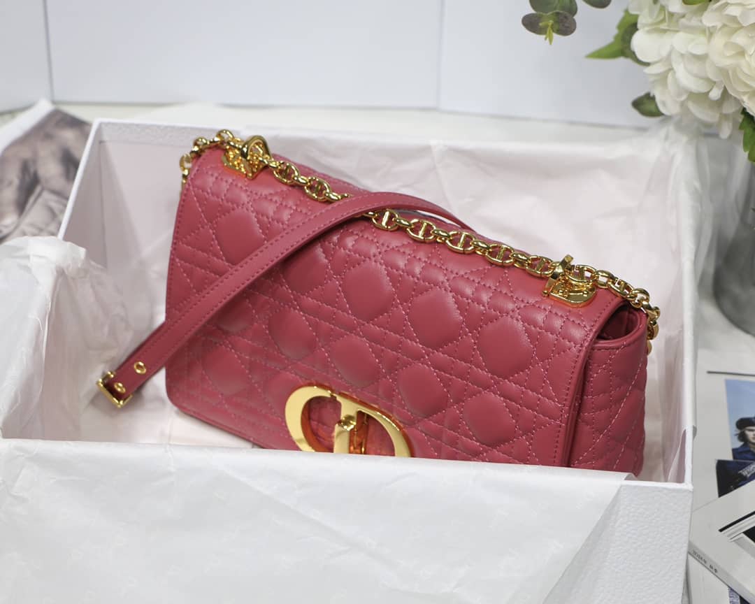 D10r Dupe Caro Bag