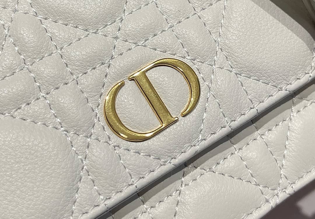 Chr1st1an D10r Caro Chain Belt Replica Pouch