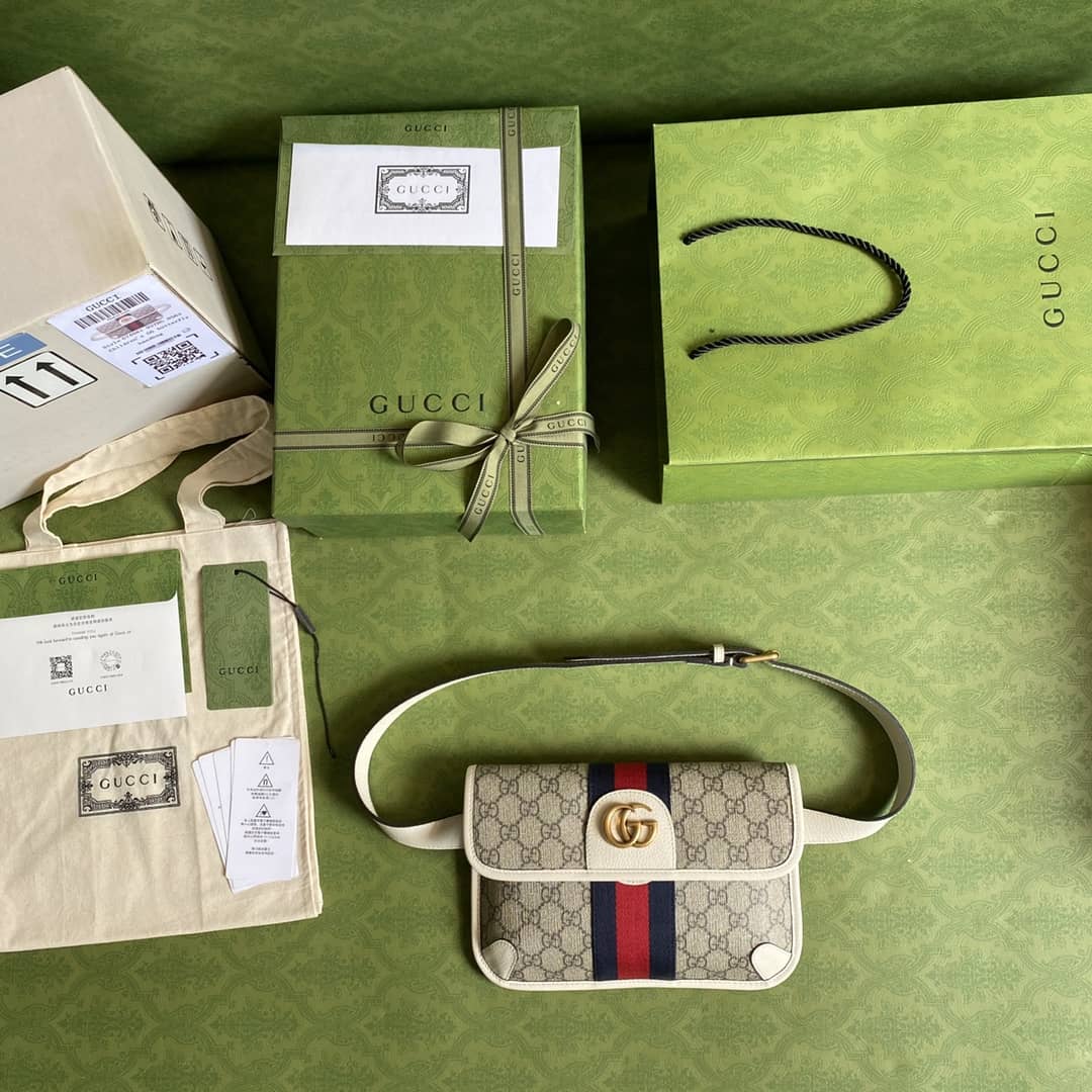 Gvc*1 Ophidia Belt Bag Replica 674081