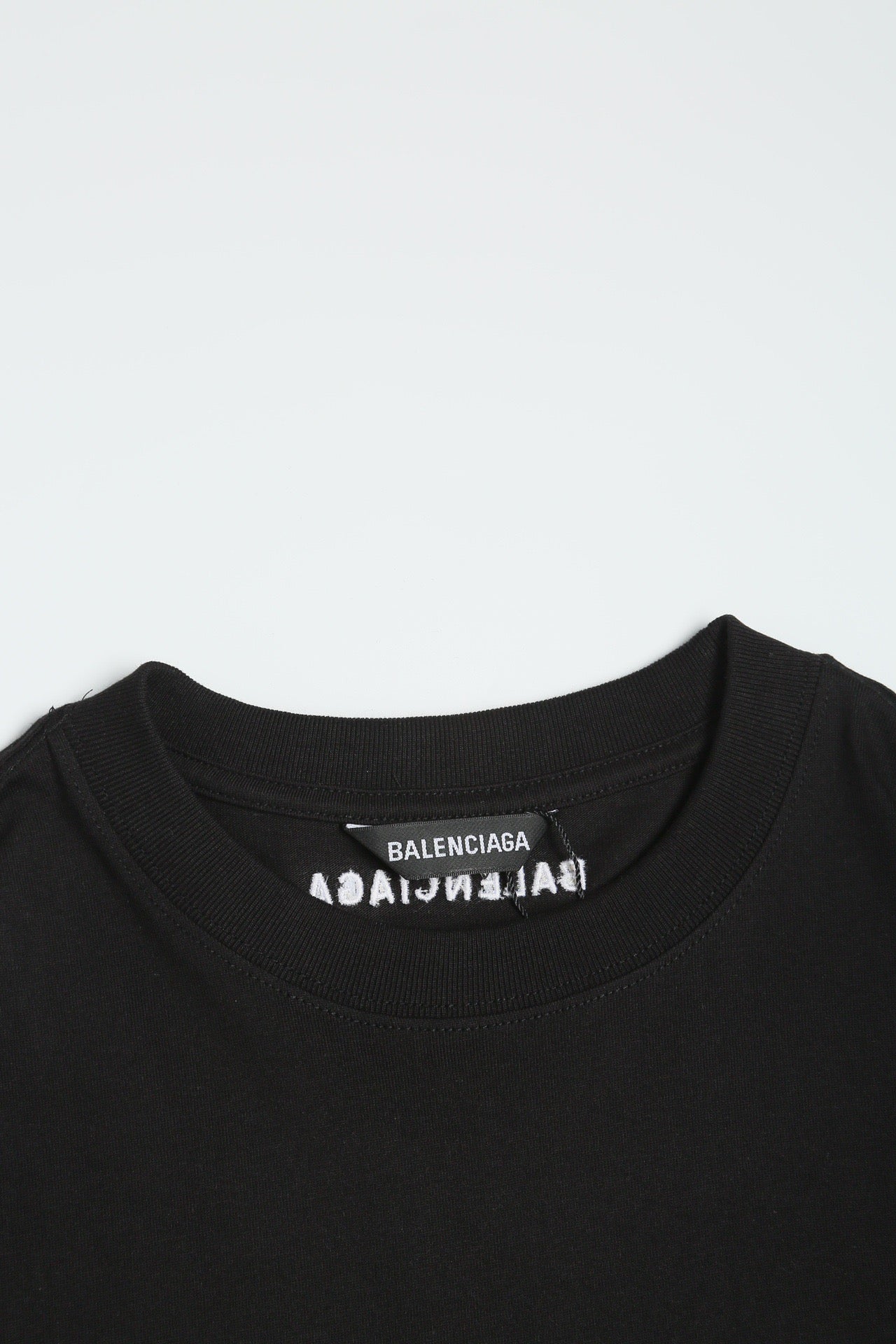 Ba1en*iaga T-shirt