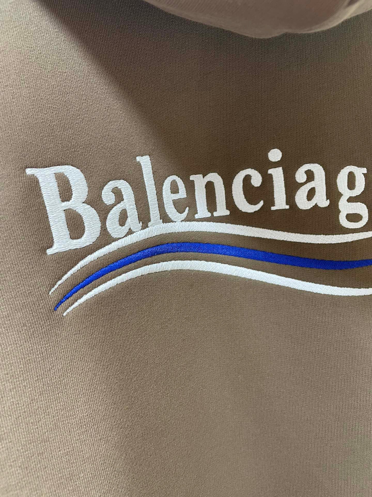 Ba1en*iaga Hoodie
