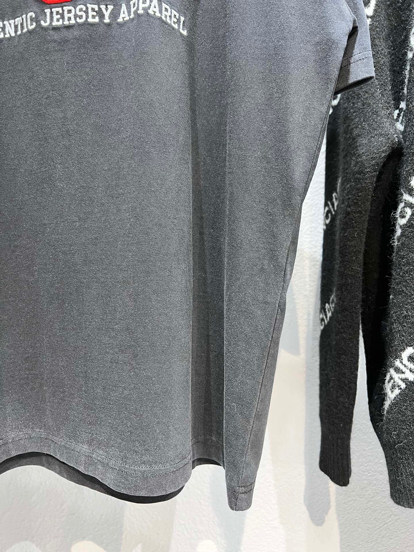 Ba1en*iaga T-shirt