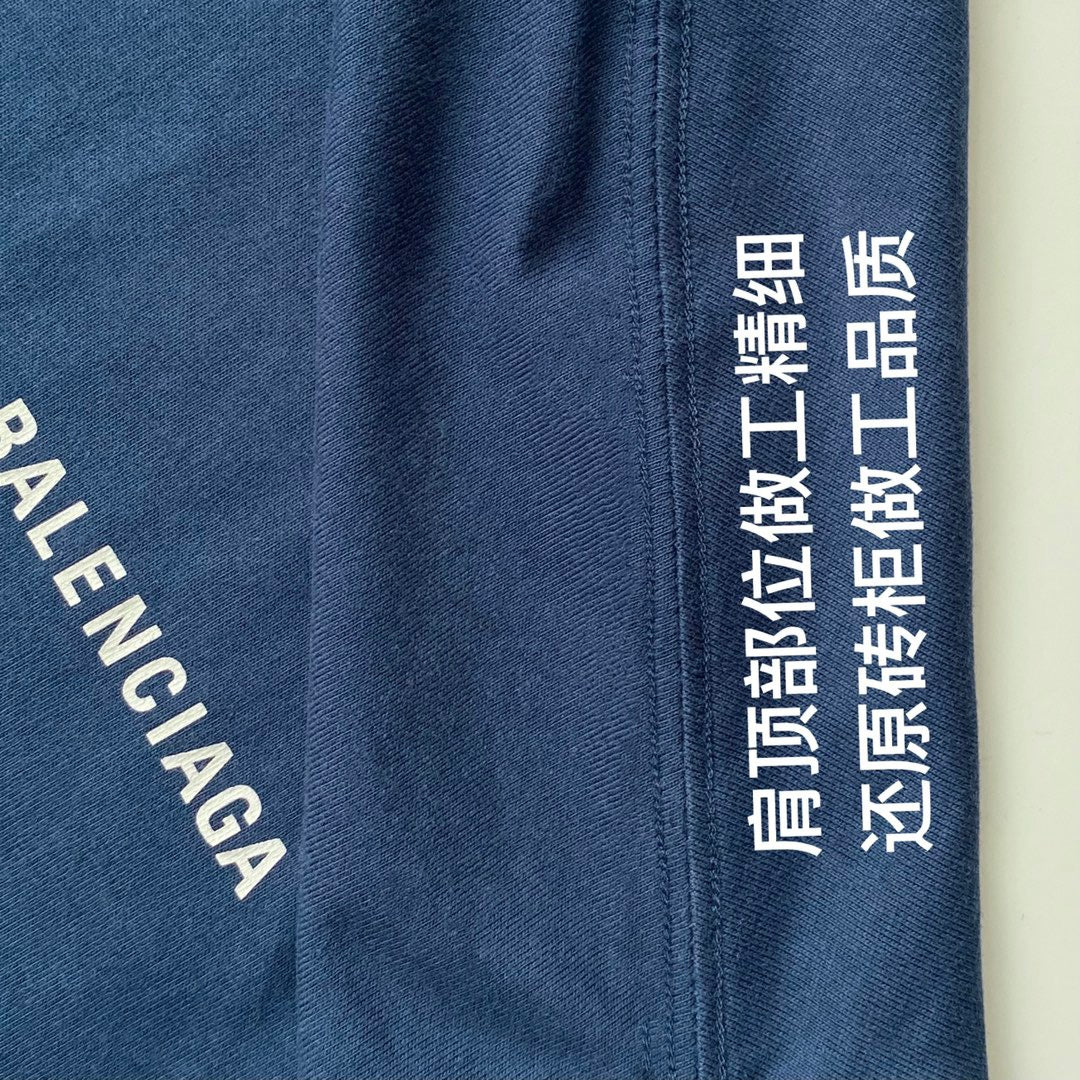 Ba1en*iaga T-shirt