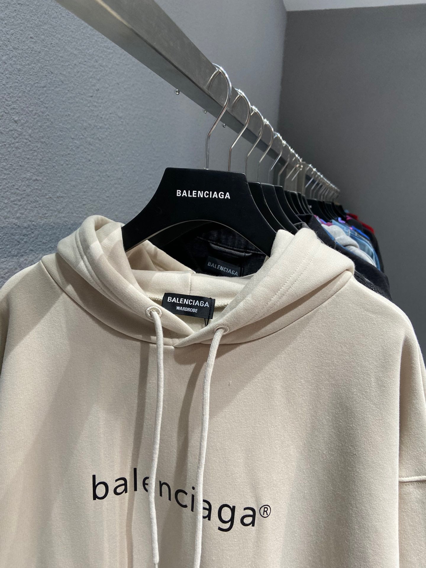 Ba1en*iaga Hoodie